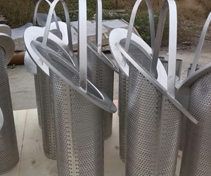 籃式過(guò)濾器濾芯